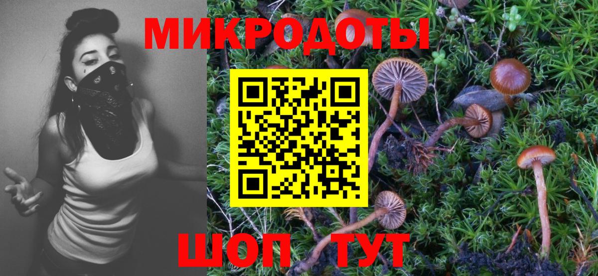 Галлюциногенные грибы прущие грибы Петровск