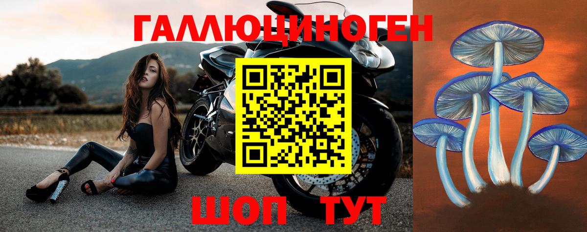 Галлюциногенные грибы GOLDEN TEACHER  Вход с VPN  Петровск  Псилоцибиновые грибы ЛСД 